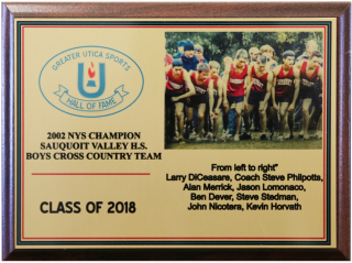 2002 Sauquoit Valley High School Boy's Cross Country Team Image